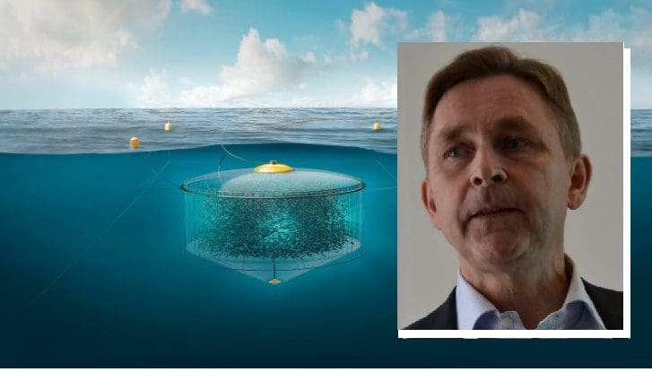 Det fundamentale fettet