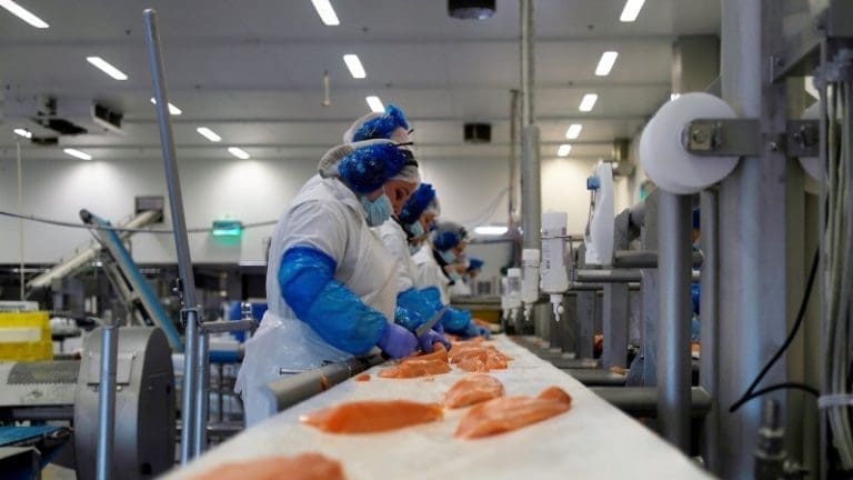 – Skinn og bein er for spesielt interesserte