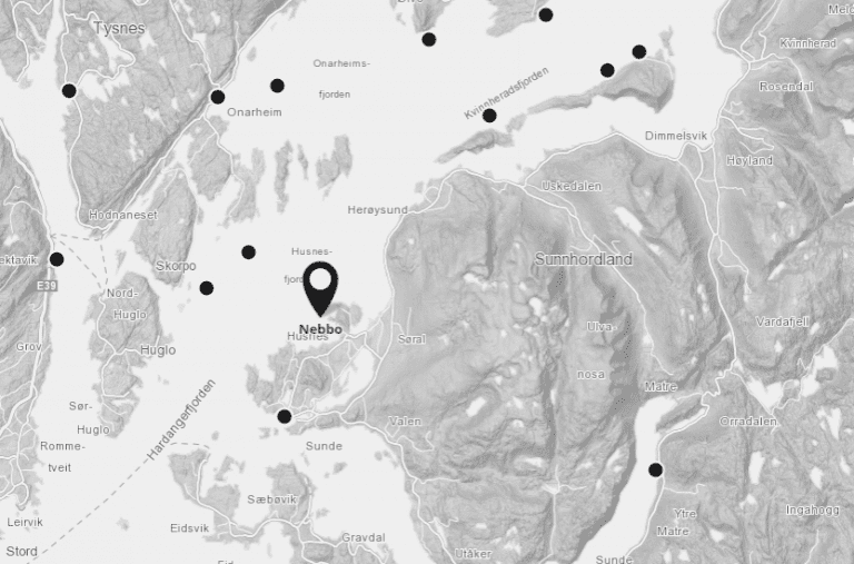 Lingalaks slaktet ut 170.000 laks etter ILA-mistanke