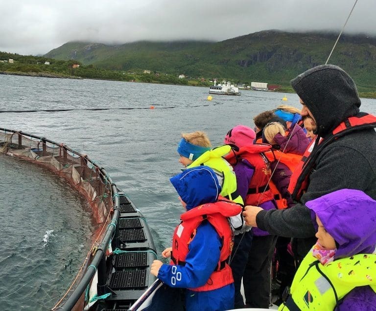 Turister vil oppleve oppdrett