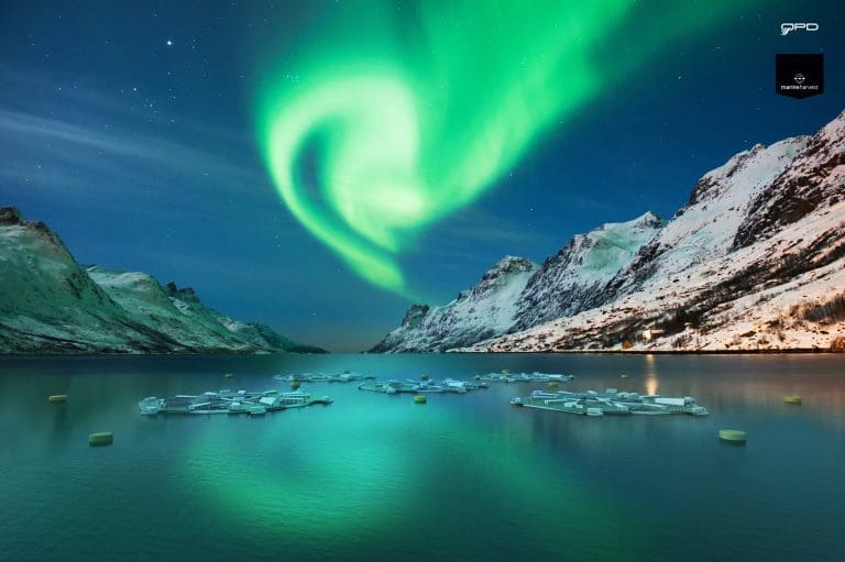 Marine Harvest ønsker å investere 325 millioner kroner på nye anlegg