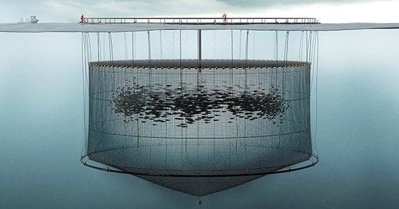 Aqualine har fått nei til utviklingstillatelser