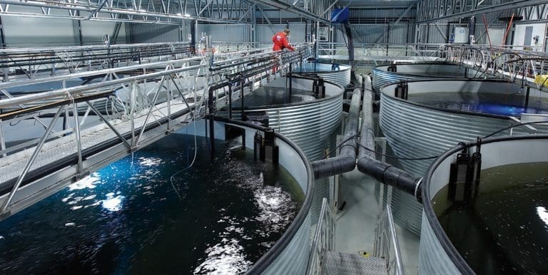 AKVA group lander kontrakter til 78 millioner