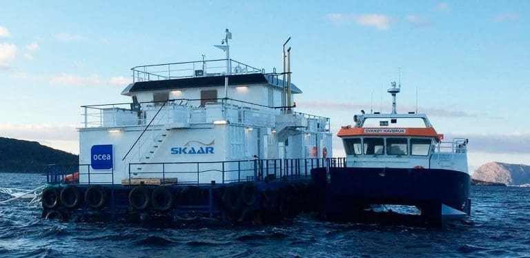 Salgs- og marginhopp for Skaar Norway
