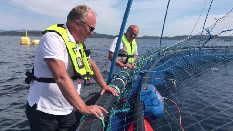 Investorer skyter inn 35 millioner kroner i Aqua Robotics