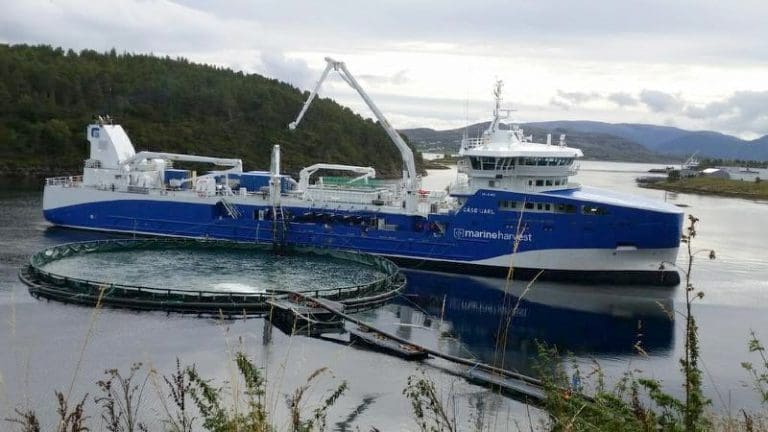 Her handler brønnbåtene springvann til husstands-pris, og sparer seg for mange timers arbeid