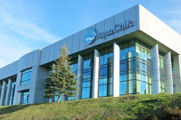 AquaChile blar opp over to milliarder kroner for to selskaper