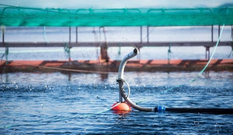 Har signert fôrkontrakter for 22 milliarder kroner
