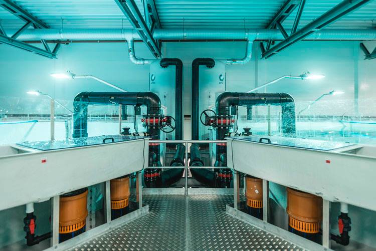 Var tom for penger og oppdrag to år etter oppstart. Nå setter Artec Aqua vekstrekorder hvert år