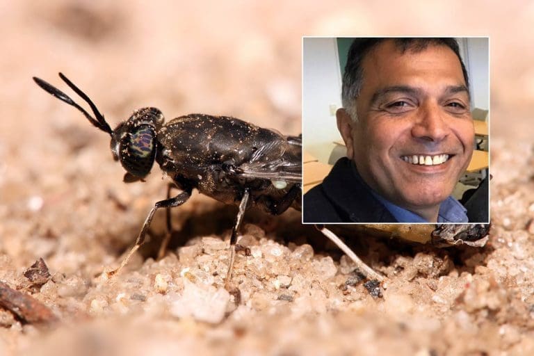– Det var riktig timing for både meg og selskapet, sier mannen bak Fredrikstad Aquafarms