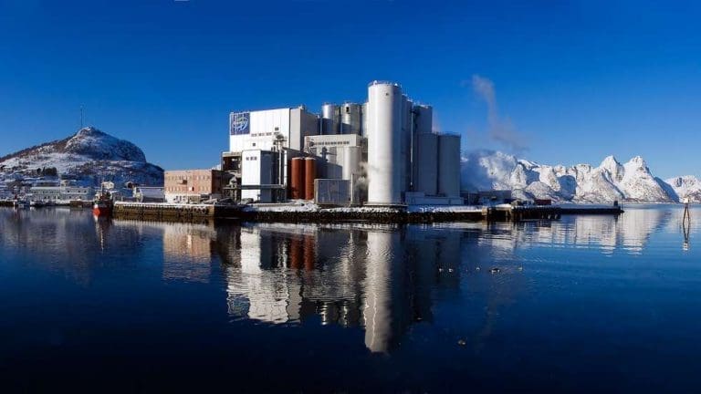 Styrkede markedsandeler i Norge løfter BioMar