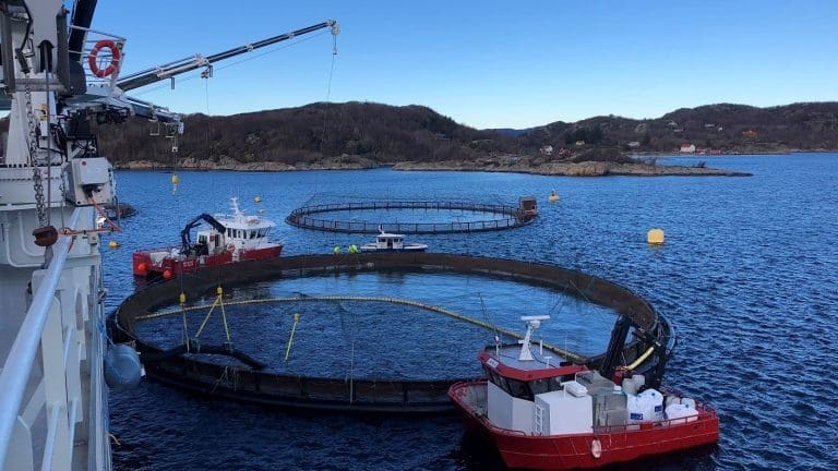 Her er “Norwegian Gannet” på sitt første oppdrag: – Det var veldig godt å komme i gang. Det koster penger å ligge i ro