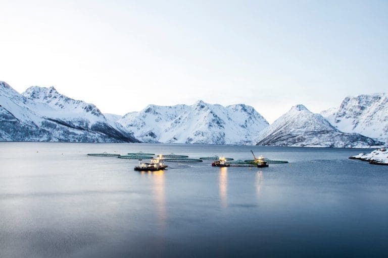 Opphevet Grieg Seafoods oppdrettstillatelse: – Hvis dette vedtaket blir stående vil ingen kommunestyrevedtak om arealplan ha noen verdi i framtiden