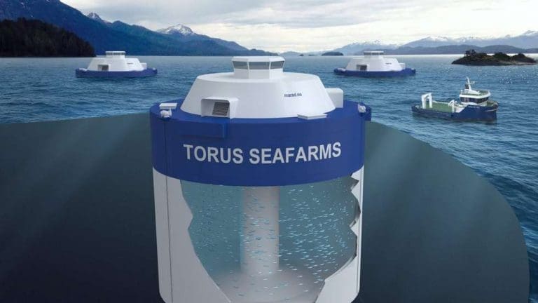 Hauge Aqua-gründer: – Vi mener at Marads patent bryter med både vårt og andres patenter