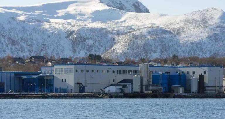 Her er to utfordringer for Nordlaks, ifølge konsernsjef Eirik Welde