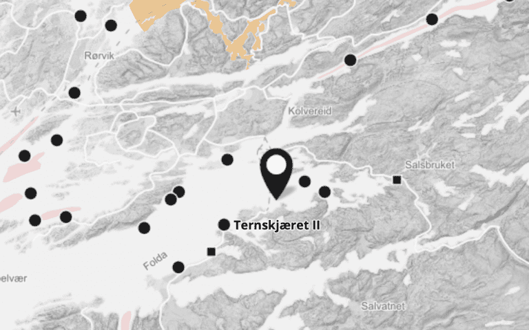 ILA bekreftet hos SalmoNor