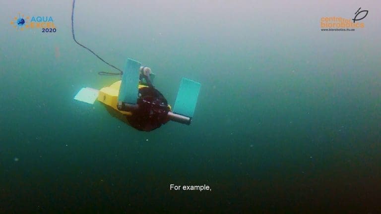 Skal sjekke fiskevelferden i merdene med «robotskilpadde»