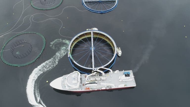 Hvem vil NTS-utbryterne selge selskapet til?