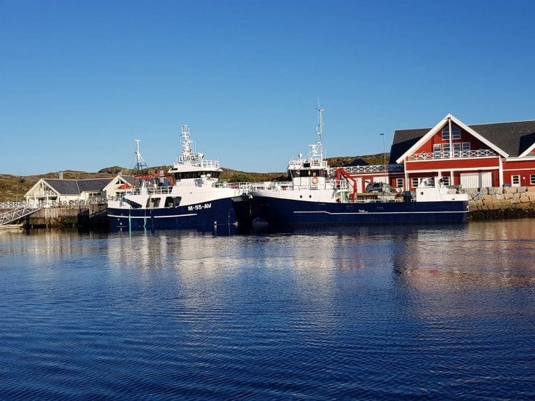 Averøyrederi mistenkt for å ha fraktet rensefisk ulovlig