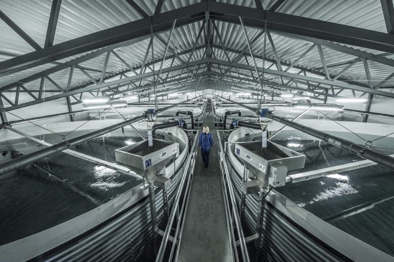 AKVA group skal levere smoltanlegg i Russland til 116 millioner kroner