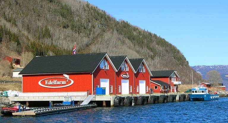 Falsk ILA-alarm rammet Edelfarm