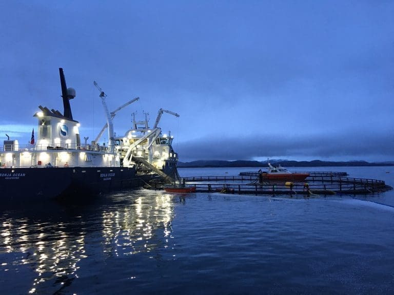 Andre runde med fisk i nedsenkbar merd: – Prosjektet har nådd en ny milepæl
