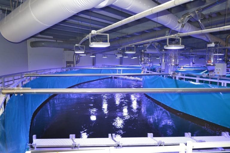 170 millioner kroner på spill i rettsak om det landbaserte oppdrettsanlegget i Fredrikstad