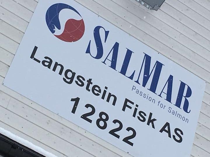 Hundretusenvis av rognkjeks måtte avlives hos SalMar