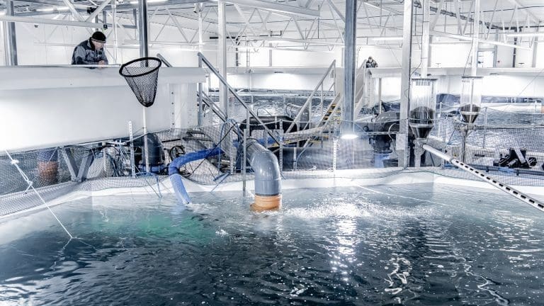 Tytlandsvik Aqua i rute mot full produksjon