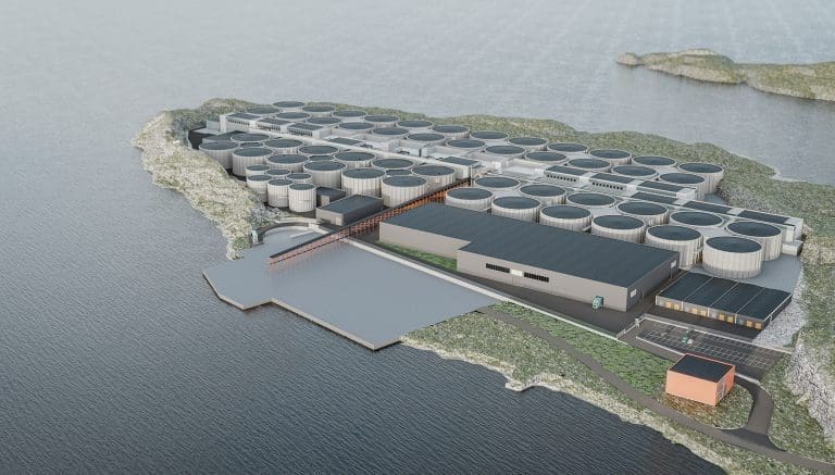 Henter 258 millioner kroner: Ronja Capital blir største eier i Salmon Evolution