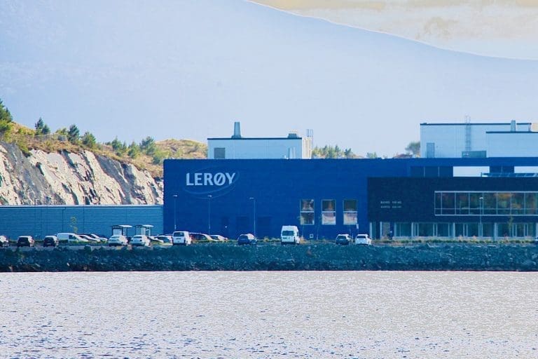 Lerøy sikter på 50 milliarder kroner i omsetning innen åtte år, men er lunken til offshore og landbasert oppdrett