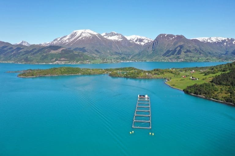 Sammen mot plast i Hardanger
