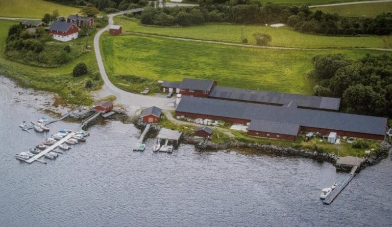 Kjøpte russisk-eide settefiskanlegg for hundrevis av millioner – uten finansiering