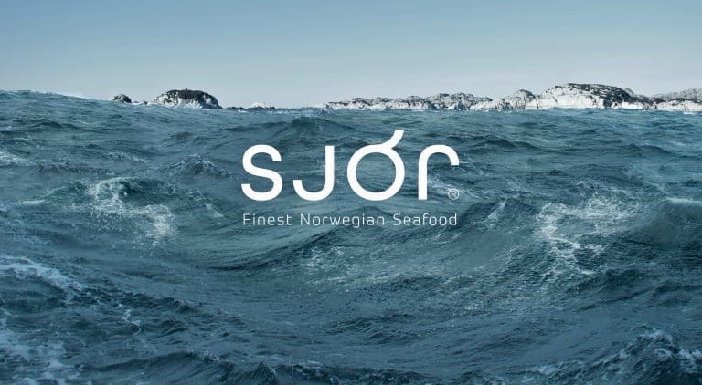 Sjór tapte 85,8 millioner kroner etter å ha bommet på kontrakter