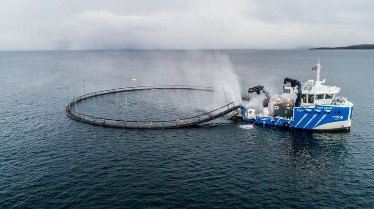 Frøy signerte fem time charter-kontrakter for totalt 340 millioner kroner