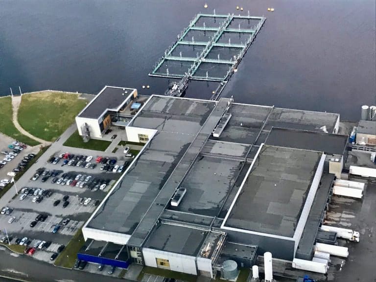 Økte kostnader spiste av SalMar-resultatet