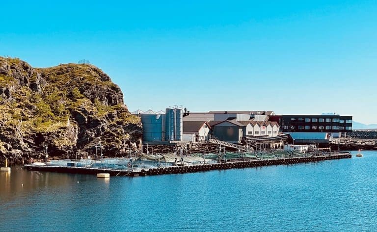 Nova Sea fryser milliardinvesteringer i slakteri og settefiskanlegg
