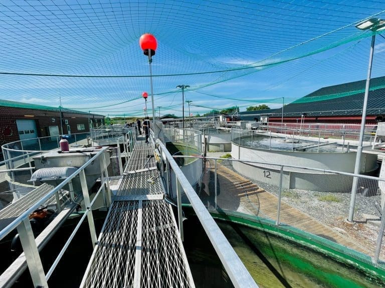 Nekton vil tredoble smoltproduksjonen i nytt anlegg