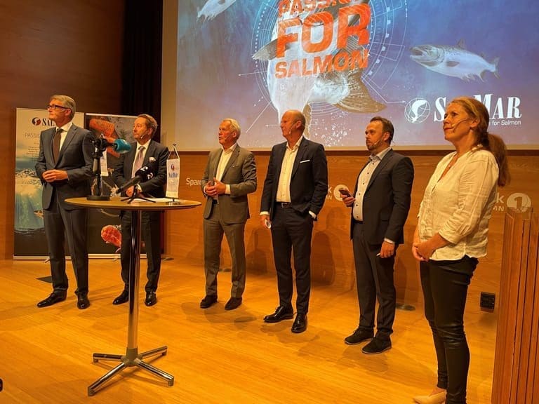 Spenstige offshore-planer for Witzøe og Røkke. Men de mangler det viktigste