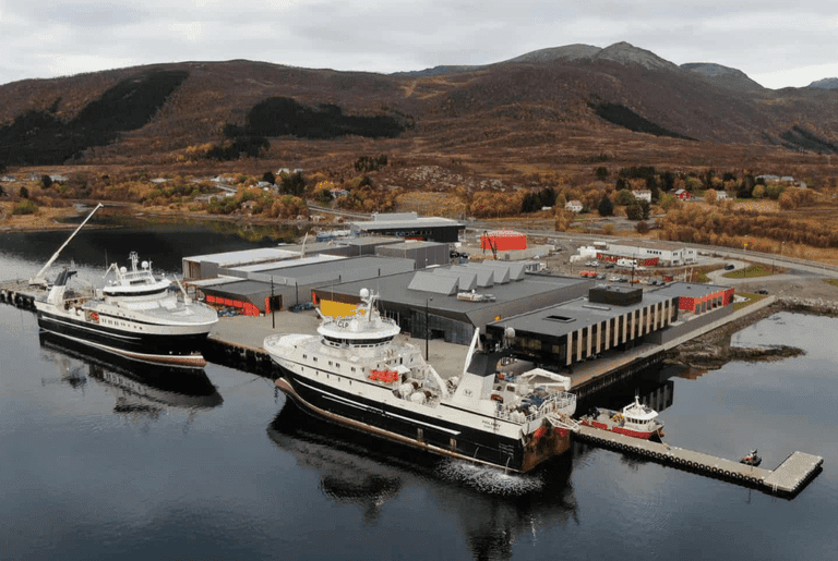 Tidligere statsråd fra Frp vraket til Stortinget. Hentet hjem til Vesterålen og Holmøy Maritime
