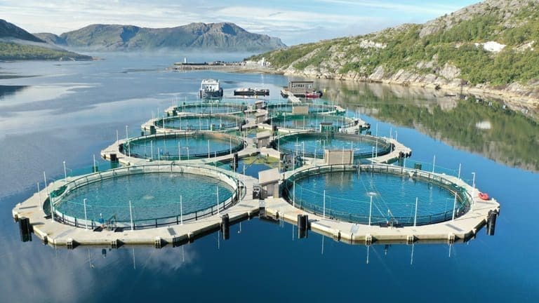 Akvafuture slipper å telle lakselus. Selskapet fikk positivt svar fra Mattilsynet i går