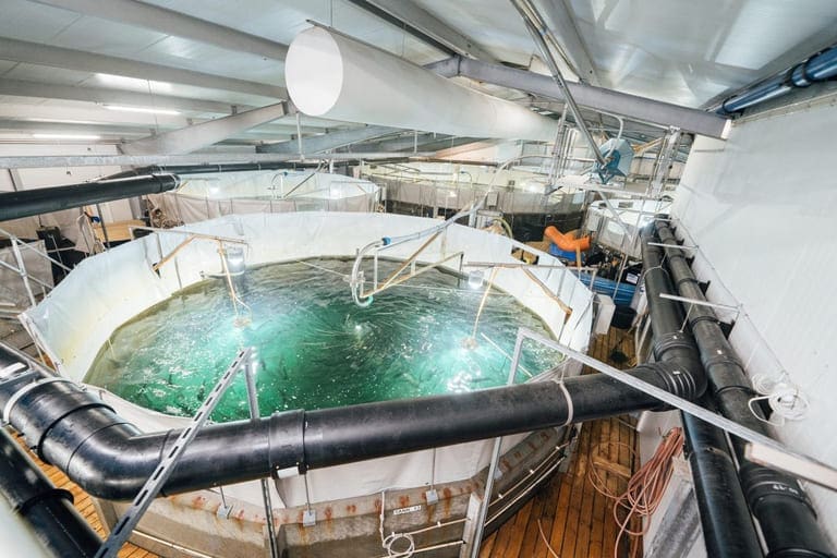 Det brenner i Atlantic Sapphire sitt anlegg i Danmark