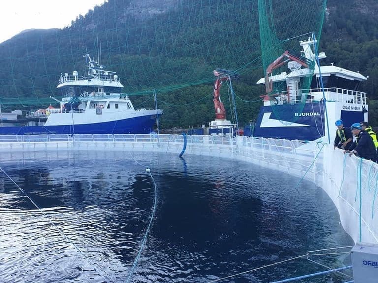 Tester ut to 45 meter dype lukkede merder: – Vi tror oppdrett i lukkede system er framtiden