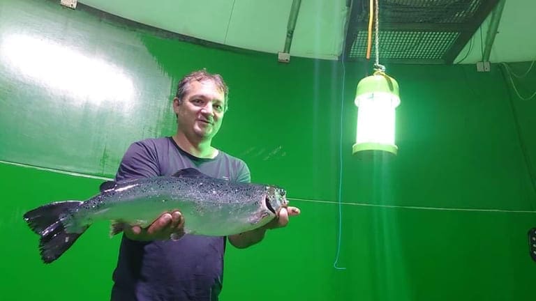BioFish svarer Handeland: – Moderne RAS-anlegg bruker bare cirka tre KWh per kilo produsert postsmolt