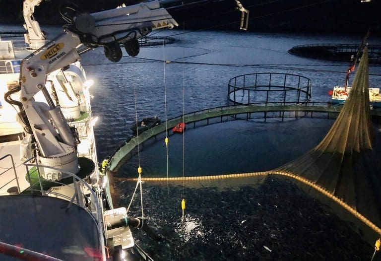 I natt fikk “Norwegian Gannet” hentet den siste fisken i lokaliteten til GIFAS
