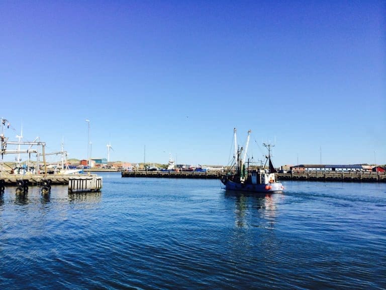 Politiet advarer om giftig kjemikalieutslipp etter storbrannen i Hvide Sande