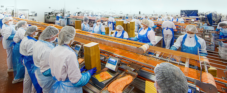 Sterk polsk vekst på billig fisk i fallende marked