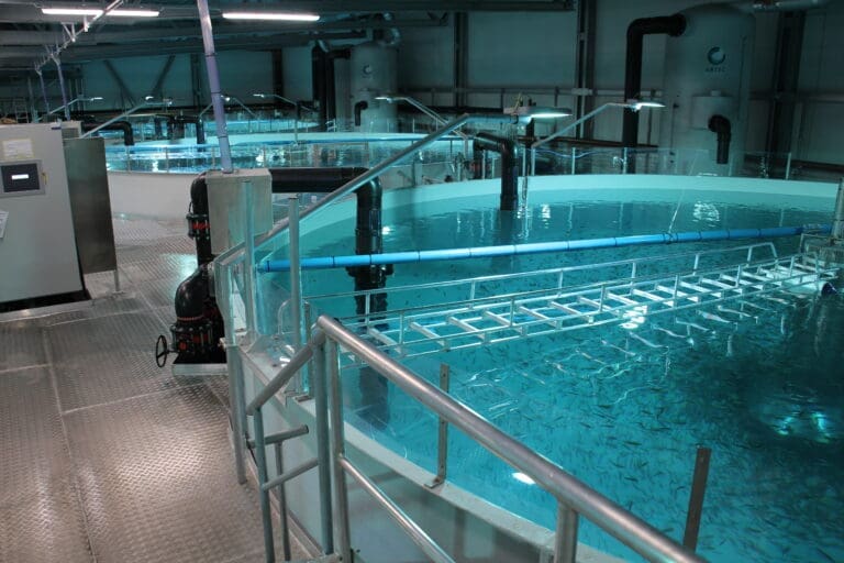 Cermaq vil bygge nytt smoltanlegg i Finnmark. Inngår kontrakt på over 700 millioner kroner