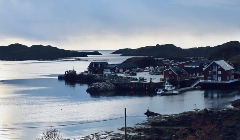 Isqueen får forelegg etter oterfangst – anmeldt av tidligere ansatt