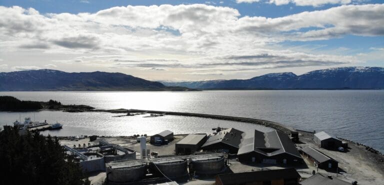 Fishbase Salmon: Omstrukturering av torskeproduksjonen gav omsetningstap
